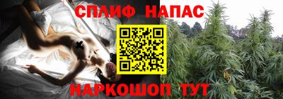 PSILOCYBIN Ликино-Дулёво