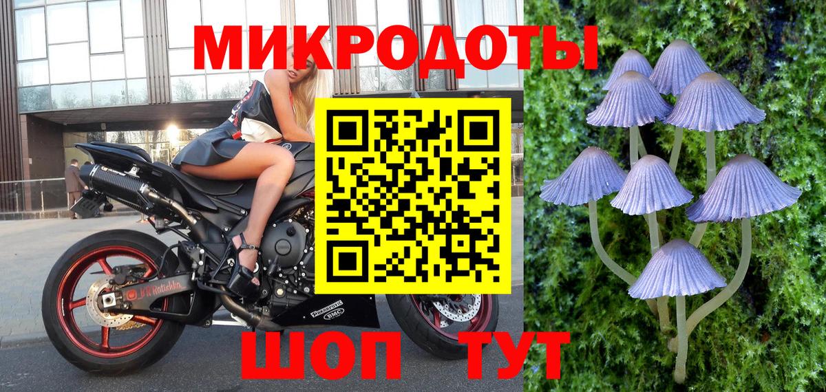 Галлюциногенные грибы ЛСД Донской